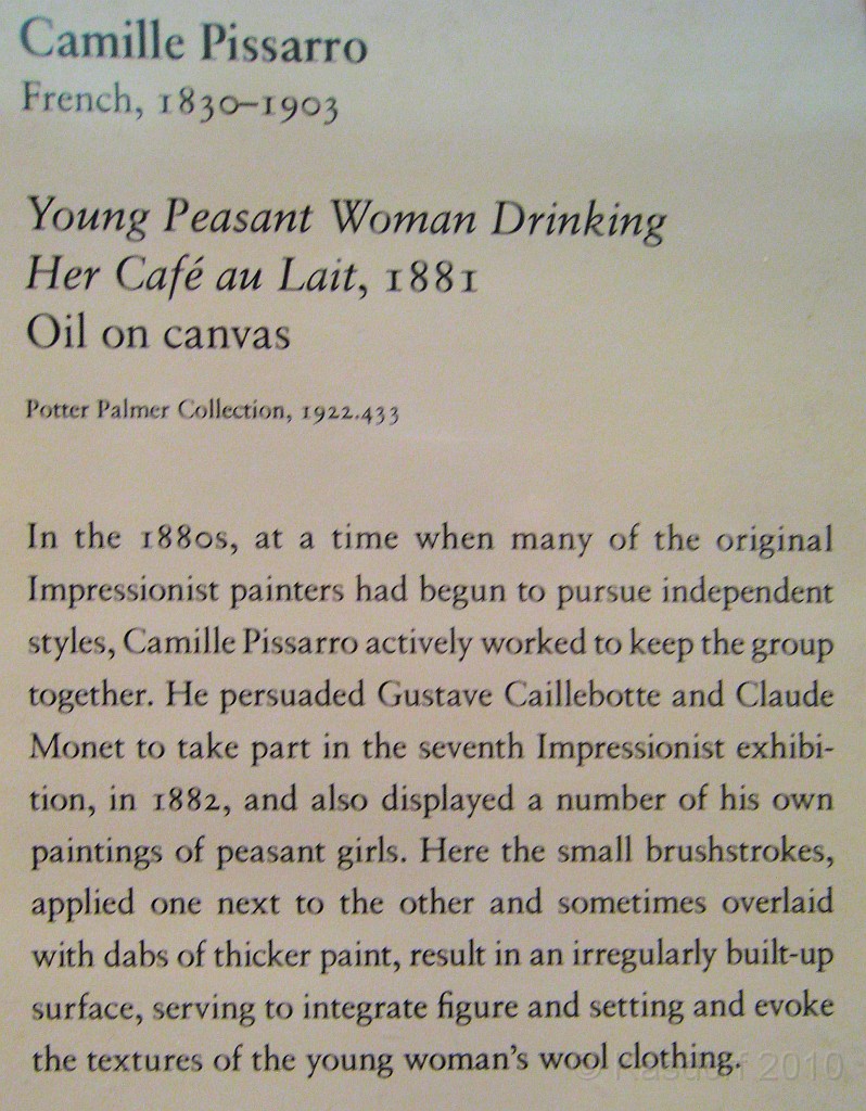 Chicago Art Museum 2010 0531.jpg - July 30 a visit to Chicago and the Art Museum. A little something for everyone's taste in art.